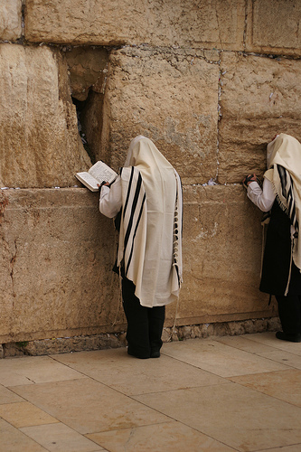 417556122_1d538ca23c