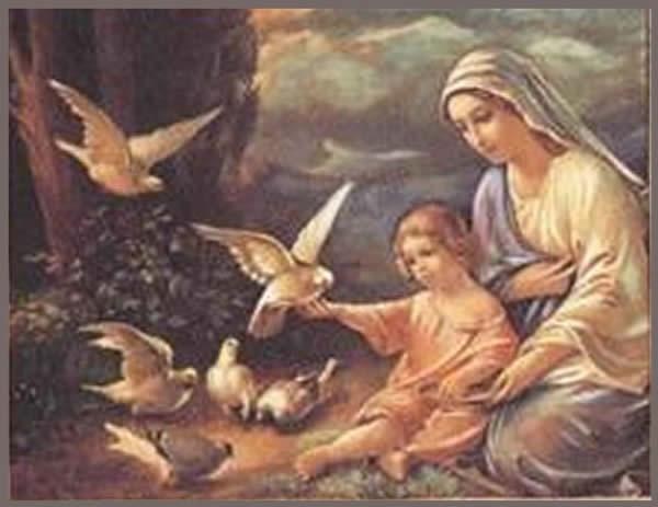 jesus_maria_palomas jesus_maria_palomas