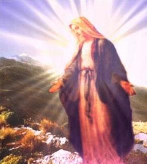 rosamistica rosamistica