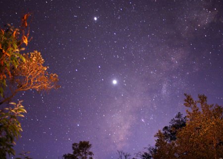 stephen-omeara1_strip1