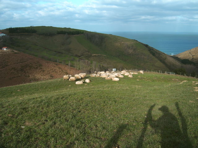 ¿Cuando vuelva el Hijo del hombre, encontrará la Fe sobre la Tierra?