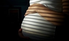 Matrices en alquiler