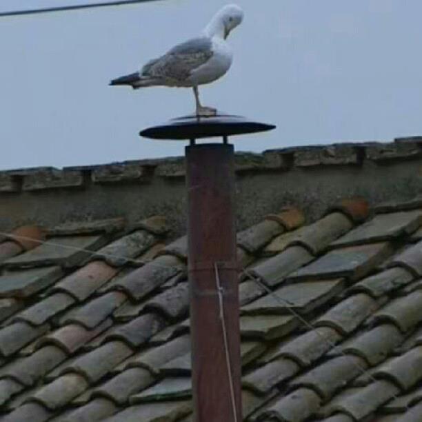 254903_151212598377765_1814498424_n