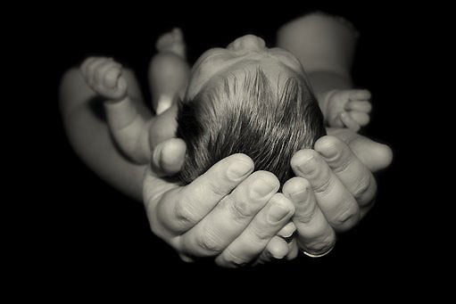 baby in hands