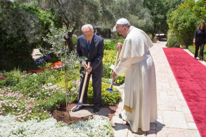 10419584_540372479405058_5280070332991956843_n