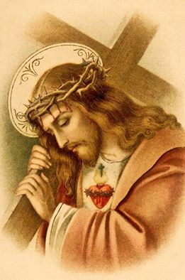 10984093_10205923036052264_3242117348081548424_n