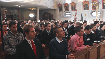 inadavertencia u omision