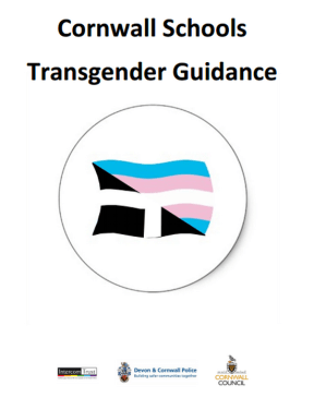 tumblr_mdkxioeKY61qgha0vo1_500