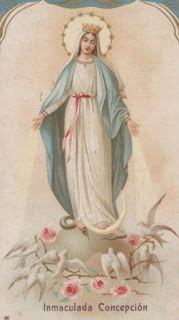 13-11-2012 18-55-37_00SA05