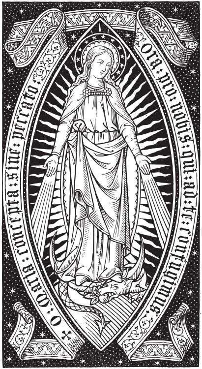 32bcb31048b95e82ec69c9ad1564ff8f