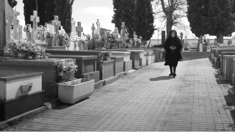 polilla la rezadora 2