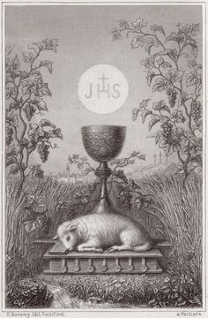 4732e7279b6e055e19afdcba887e7390