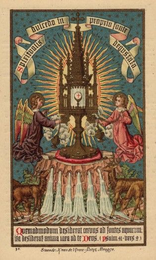 7292e152188df21cee3db580aff41c99