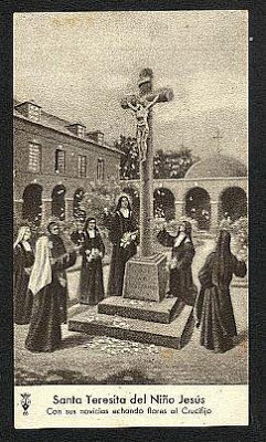 0.3.Arrojando-Flores