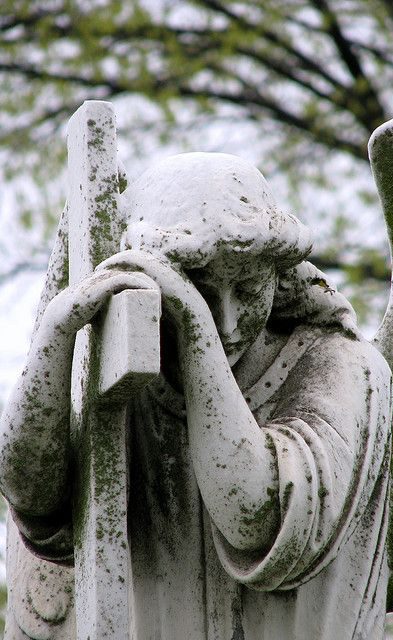 5ec5b037c0821ec54332425c4963a295