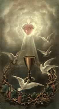 7b22b64c333c051a7c2c0a4fbf7d8ce6