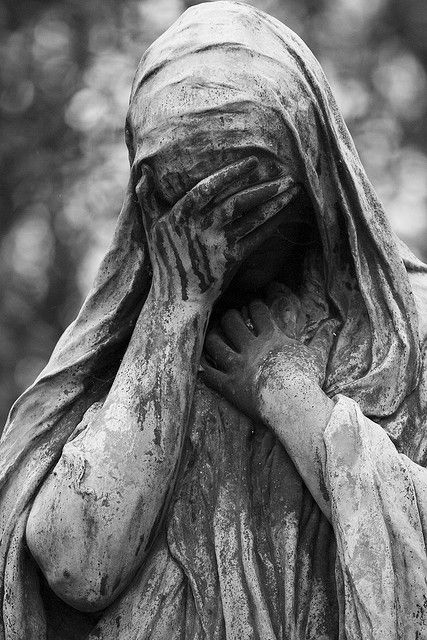 9ce6b55ae71a24375b88c54752085432