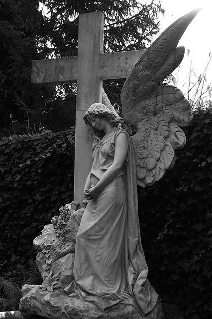 df6f61b3f245103955ed901cc517769b