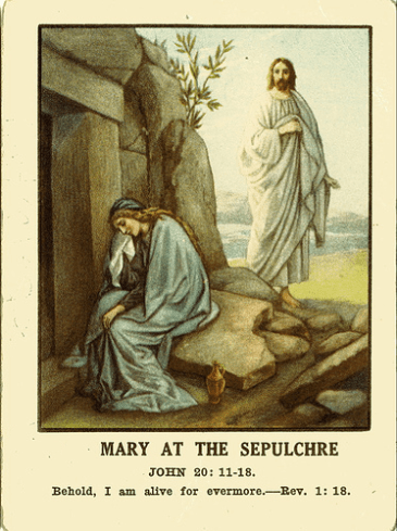 guardia de honor25.jpg