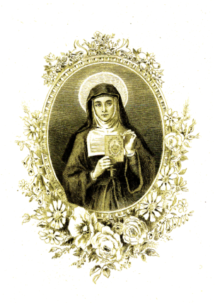 guardia de honor4.jpg