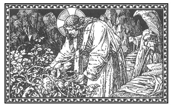 tercer-domingo-despues-de-pentecostes