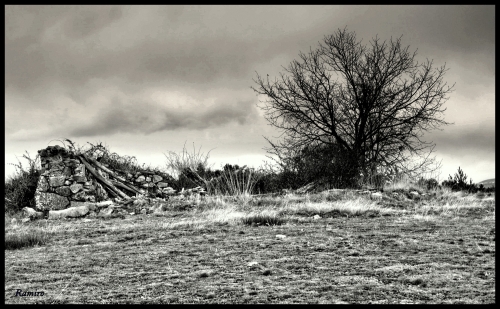 desolacion__ii__144814_t01