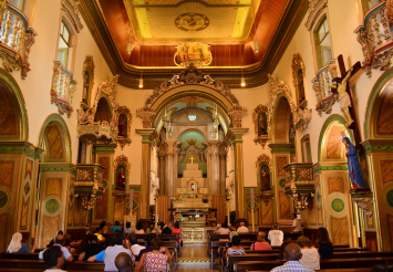 BACILICA APARECIDA V