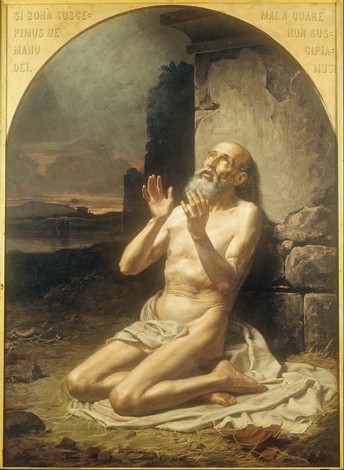 Job - Gonzalo Carrasco.jpg