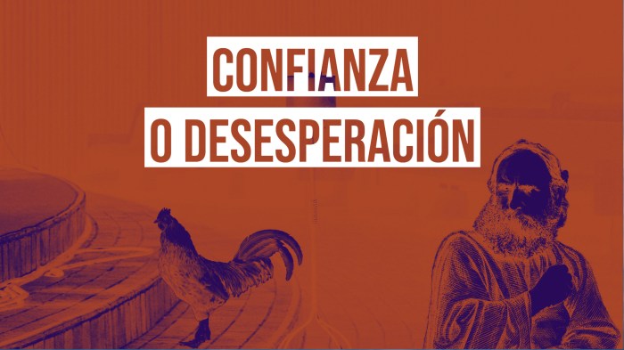 Mi publicación.jpg