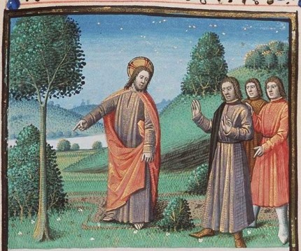 PARÁBOLA DE LA HIGUERA MALDITA.-ICONO 3.jpg