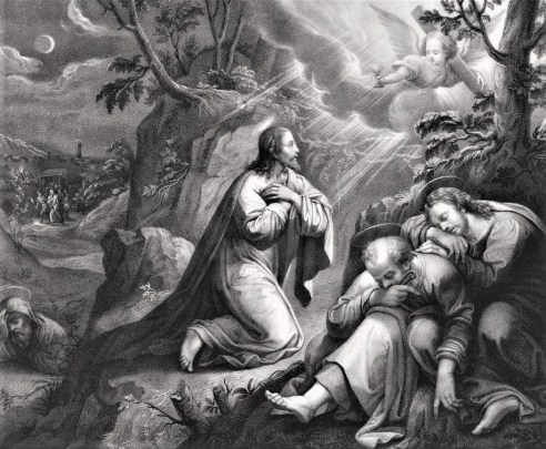 La imagen tiene un atributo ALT vacío; su nombre de archivo es agonia-de-nsjc-1.jpg